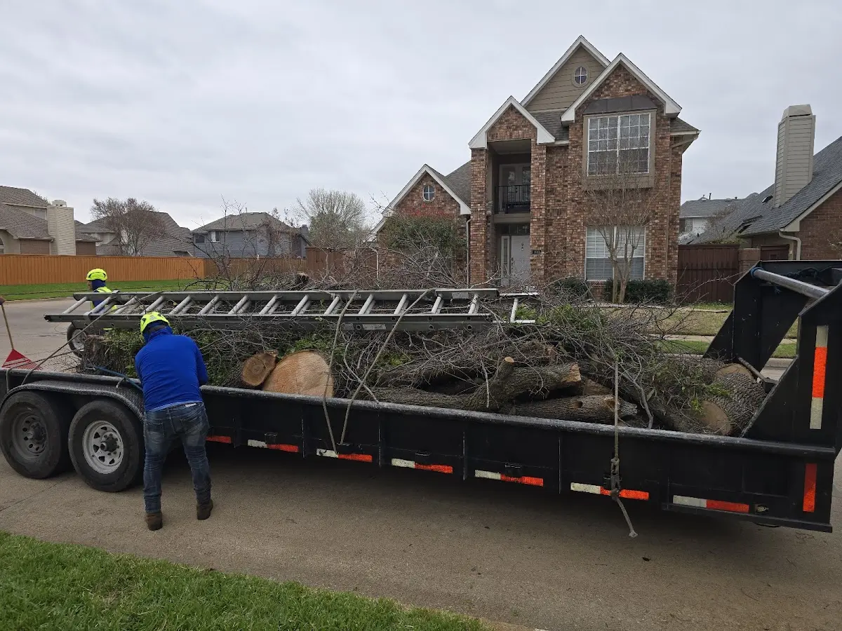 Expert Tree Fertilization with proper safety equipment in Reddick